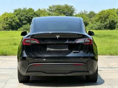 Tesla Model Y Long Range Edition - фото 5