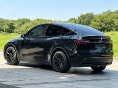 Tesla Model Y Long Range Edition - фото 6