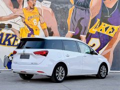 Buick GL6 323T PHEVLuxury Version - фото 4