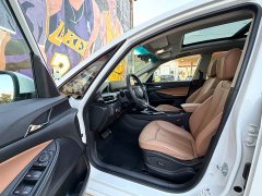 Buick GL6 323T PHEVLuxury Version - фото 9