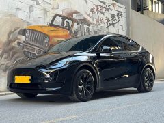 Tesla Model Y Edition - фото 1