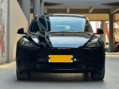Tesla Model Y Edition - фото 2