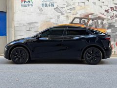 Tesla Model Y Edition - фото 3