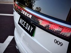Zeekr 009 EditionAWD 108kWh - фото 14