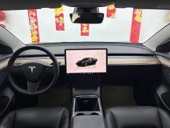 Tesla Model 3 Edition - фото 10