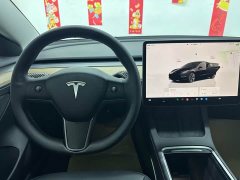 Tesla Model 3 Edition - фото 11