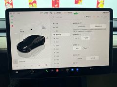 Tesla Model 3 Edition - фото 15