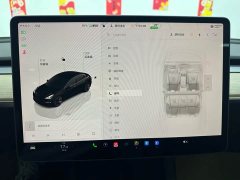 Tesla Model 3 Edition - фото 16