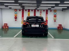 Tesla Model 3 Edition - фото 6