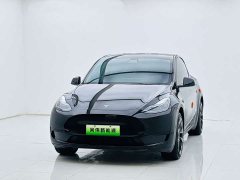 Tesla Model Y Edition - фото 1