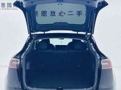 Tesla Model Y Edition - фото 16