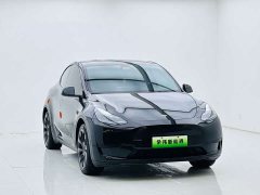 Tesla Model Y Edition - фото 3
