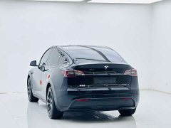 Tesla Model Y Edition - фото 5