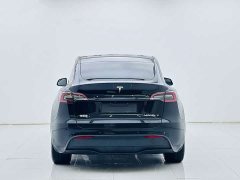 Tesla Model Y Edition - фото 6