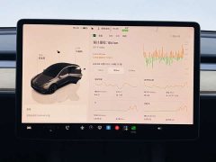 Tesla Model Y Edition - фото 9