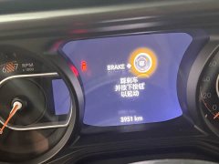 BYD 2.0T Edition - фото 7