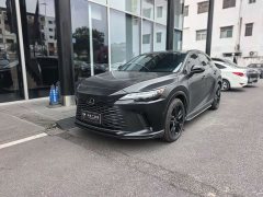 Lexus RX 300 AWDBlack Edition - фото 1