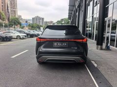 Lexus RX 300 AWDBlack Edition - фото 12