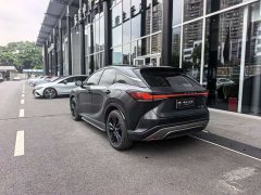 Lexus RX 300 AWDBlack Edition - фото 14