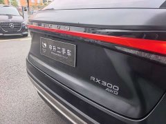 Lexus RX 300 AWDBlack Edition - фото 17