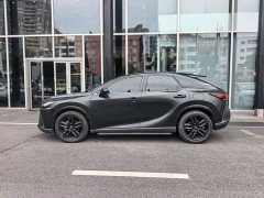 Lexus RX 300 AWDBlack Edition - фото 3