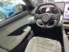 Zeekr 001 YOU Edition 100kWh AWD - фото 13