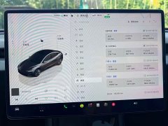Tesla Model 3 Long Range Edition - фото 15