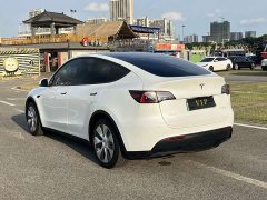 Tesla Model Y Edition - фото 5