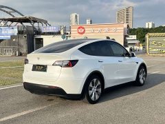 Tesla Model Y Edition - фото 8