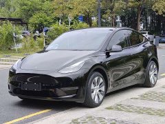 Tesla Model Y Standard Range Edition - фото 1