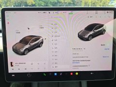 Tesla Model Y Standard Range Edition - фото 18