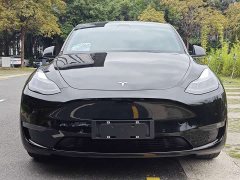 Tesla Model Y Standard Range Edition - фото 2