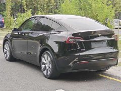 Tesla Model Y Standard Range Edition - фото 4