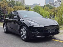 Tesla Model Y Standard Range Edition - фото 5