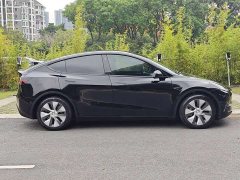Tesla Model Y Standard Range Edition - фото 6