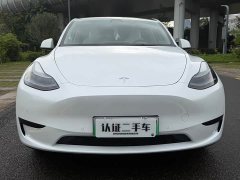 Tesla Model Y Edition - фото 2