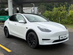 Tesla Model Y Edition - фото 3
