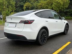 Tesla Model Y Edition - фото 6