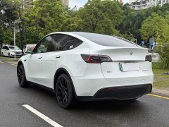 Tesla Model Y Edition - фото 8
