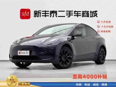 Tesla Model Y Edition - фото 1