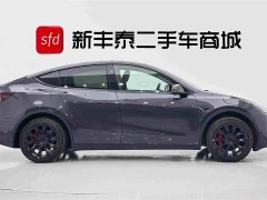 Tesla Model Y Edition - фото 3