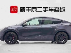 Tesla Model Y Edition - фото 4