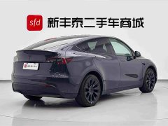 Tesla Model Y Edition - фото 5
