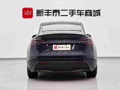 Tesla Model Y Edition - фото 7