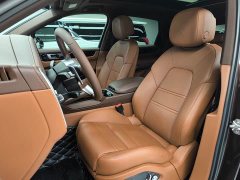 Porsche Cayenne E-Hybrid 2.0T - фото 17