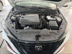 Changan Edition PLUS NE 1.4T GDI DCTPremium Edition - фото 20