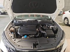 Changan Edition PLUS NE 1.4T GDI DCTPremium Edition - фото 20