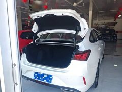 Changan PLUS NE 1.4T GDI DCTPremium Version - фото 19