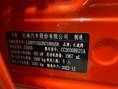 Tank 300 2.0T 200,000 Commemorative Edition - фото 16