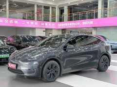Tesla Model Y Long Range Edition - фото 1